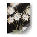 Dandy Leones I - Samuel Dixon | Cuadro decorativo de Canvas Lab