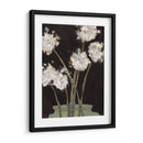 Dandy Leones Ii - Samuel Dixon | Cuadro decorativo de Canvas Lab