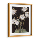 Dandy Leones Ii - Samuel Dixon | Cuadro decorativo de Canvas Lab