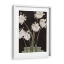 Dandy Leones Ii - Samuel Dixon | Cuadro decorativo de Canvas Lab