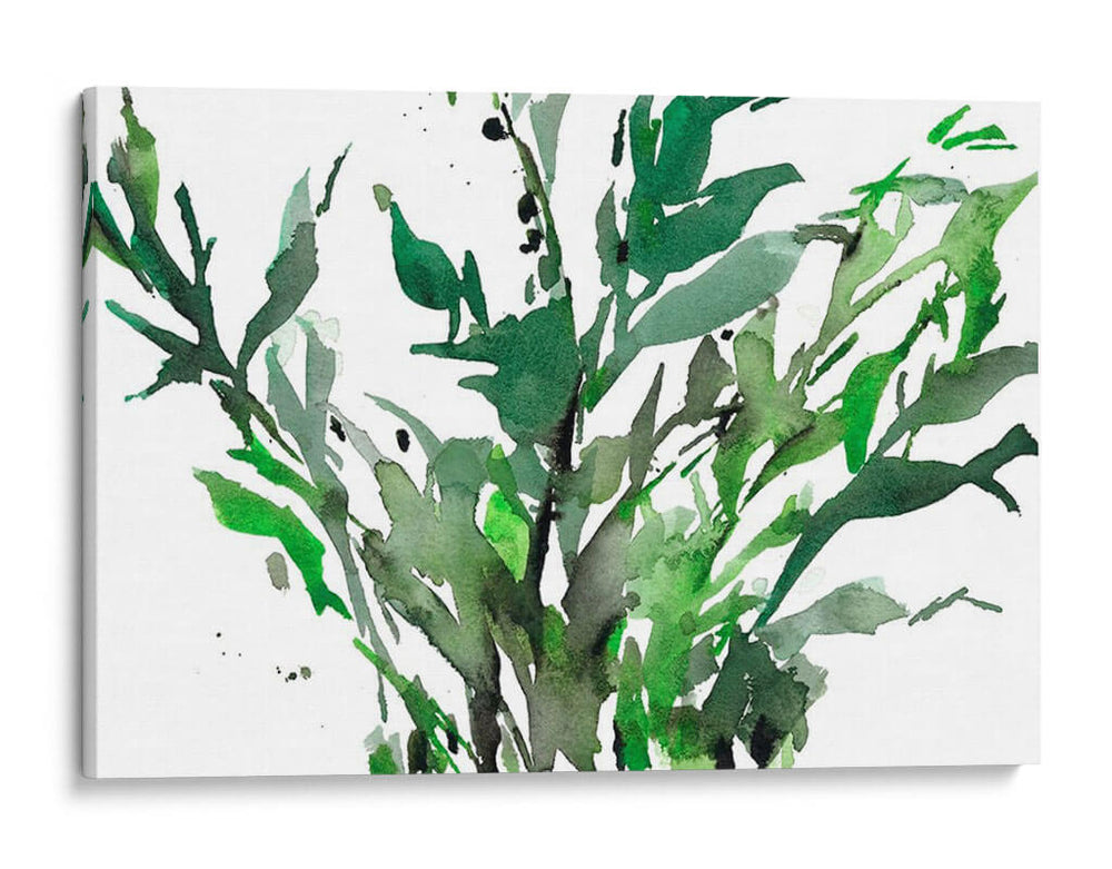 Sólo Las Hojas Ii - Samuel Dixon | Cuadro decorativo de Canvas Lab