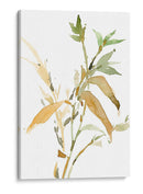 Tallos I - Samuel Dixon | Cuadro decorativo de Canvas Lab