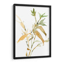 Tallos I - Samuel Dixon | Cuadro decorativo de Canvas Lab