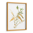 Tallos I - Samuel Dixon | Cuadro decorativo de Canvas Lab