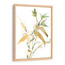 Tallos I - Samuel Dixon | Cuadro decorativo de Canvas Lab