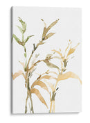 Tallos Ii - Samuel Dixon | Cuadro decorativo de Canvas Lab