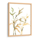 Tallos Ii - Samuel Dixon | Cuadro decorativo de Canvas Lab