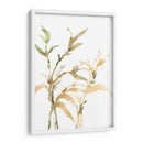 Tallos Ii - Samuel Dixon | Cuadro decorativo de Canvas Lab