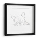 Bulldog Francés Contorno I - Ethan Harper | Cuadro decorativo de Canvas Lab