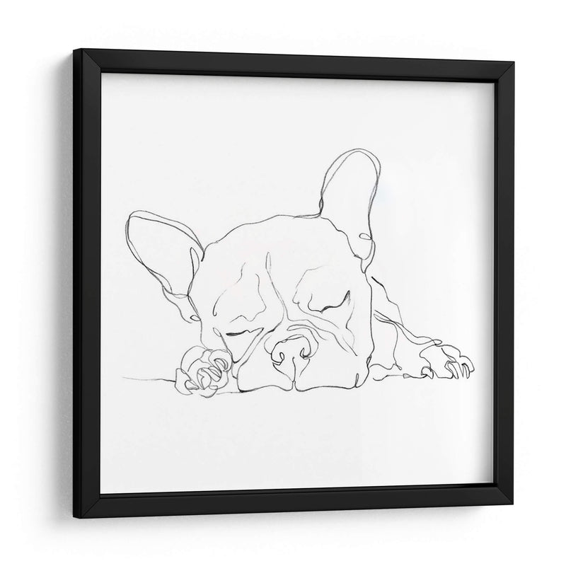 Bulldog Francés Contorno I - Ethan Harper | Cuadro decorativo de Canvas Lab