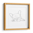 Bulldog Francés Contorno I - Ethan Harper | Cuadro decorativo de Canvas Lab