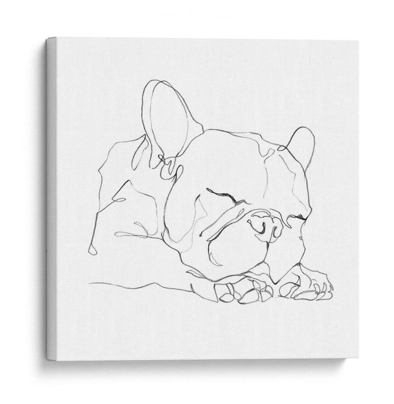 Bulldog French Contour Ii - Ethan Harper | Cuadro decorativo de Canvas Lab