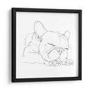 Bulldog French Contour Ii - Ethan Harper | Cuadro decorativo de Canvas Lab