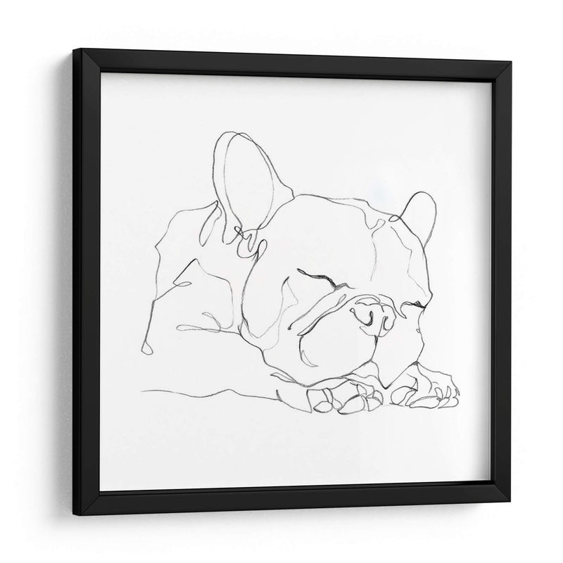 Bulldog French Contour Ii - Ethan Harper | Cuadro decorativo de Canvas Lab