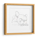 Bulldog French Contour Ii - Ethan Harper | Cuadro decorativo de Canvas Lab