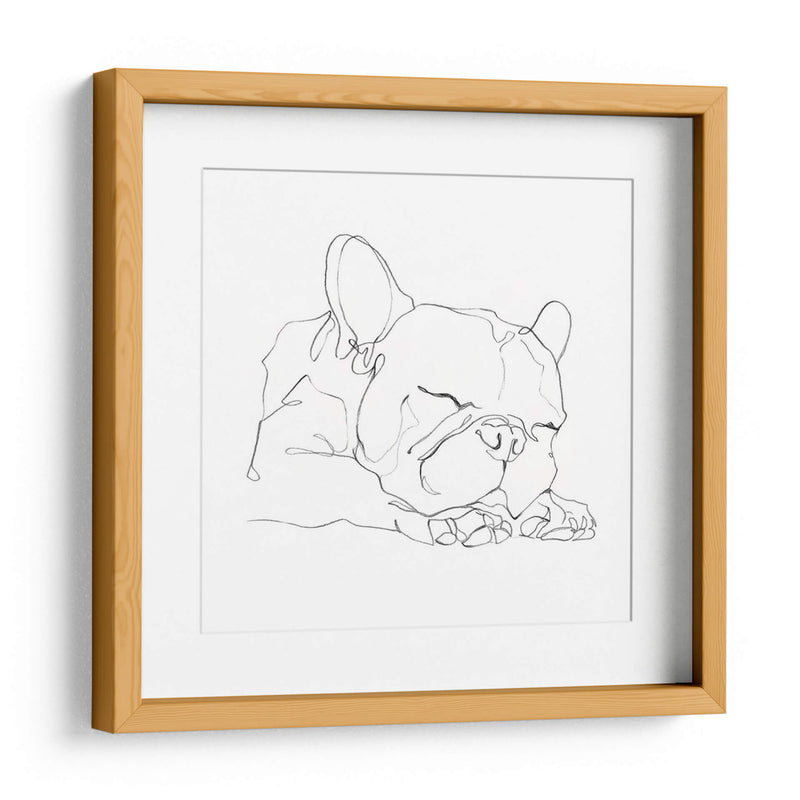 Bulldog French Contour Ii - Ethan Harper | Cuadro decorativo de Canvas Lab