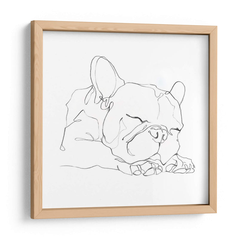 Bulldog French Contour Ii - Ethan Harper | Cuadro decorativo de Canvas Lab