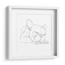 Bulldog French Contour Ii - Ethan Harper | Cuadro decorativo de Canvas Lab
