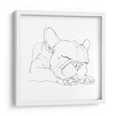 Bulldog French Contour Ii - Ethan Harper | Cuadro decorativo de Canvas Lab