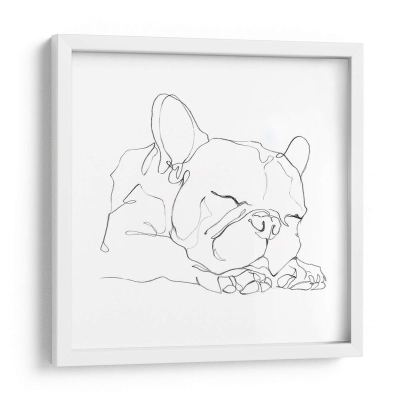 Bulldog French Contour Ii - Ethan Harper | Cuadro decorativo de Canvas Lab