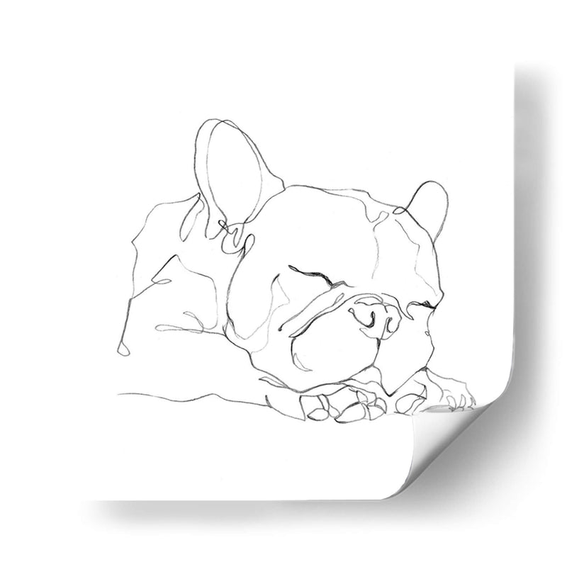 Bulldog French Contour Ii - Ethan Harper | Cuadro decorativo de Canvas Lab