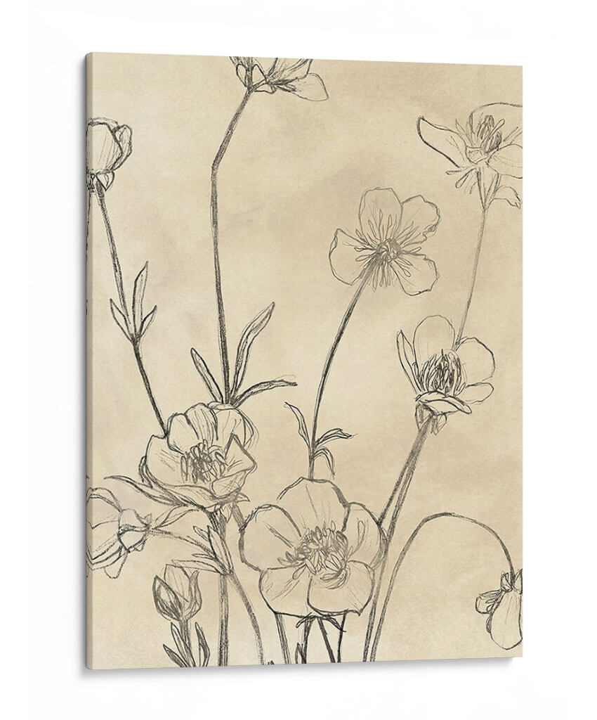 Vintage Wildflowers I - June Erica Vess | Cuadro decorativo de Canvas Lab