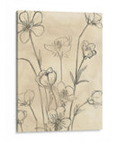 Vintage Wildflowers Ii - June Erica Vess | Cuadro decorativo de Canvas Lab