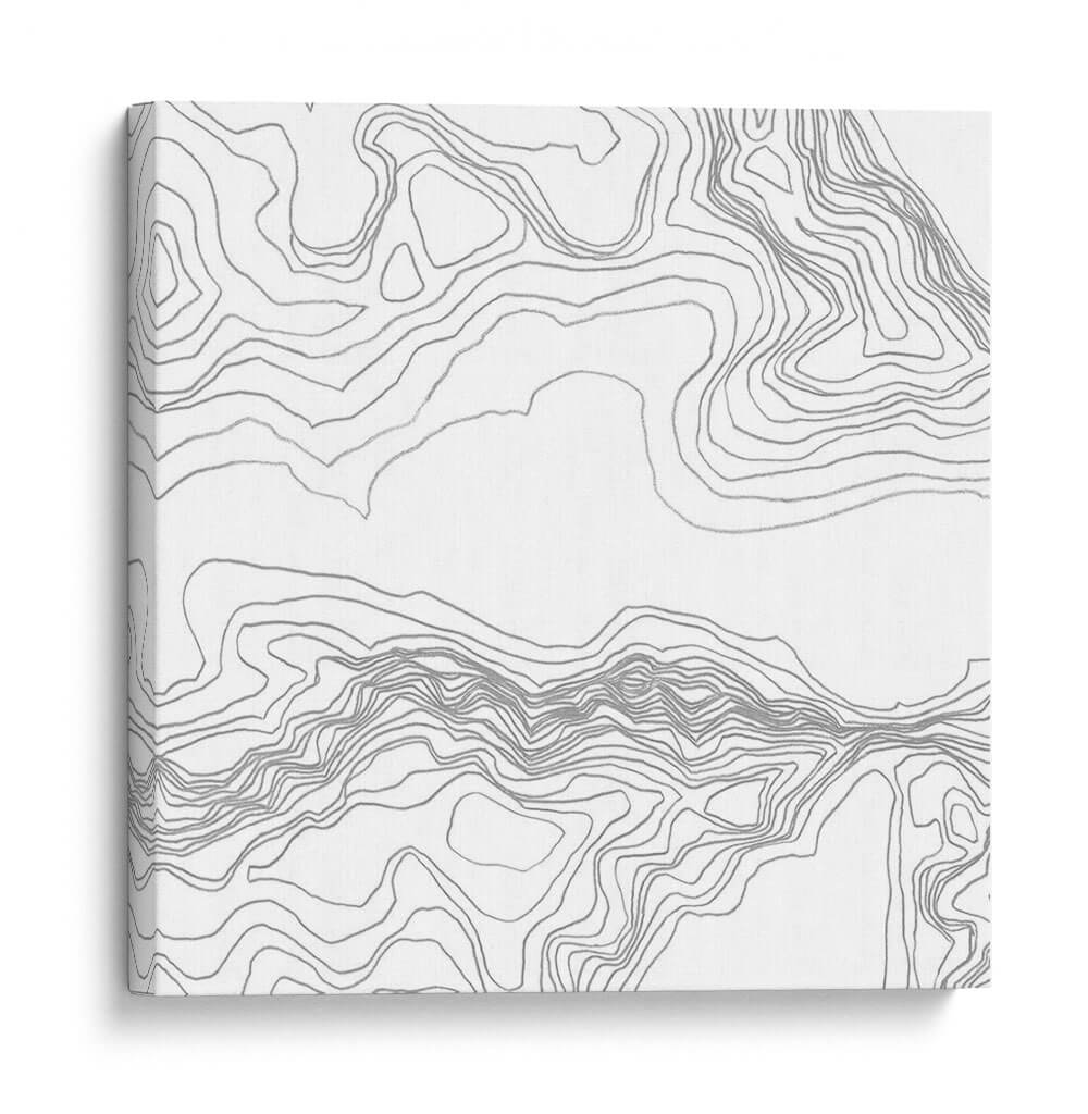 Topografía Contorno I - June Erica Vess | Cuadro decorativo de Canvas Lab