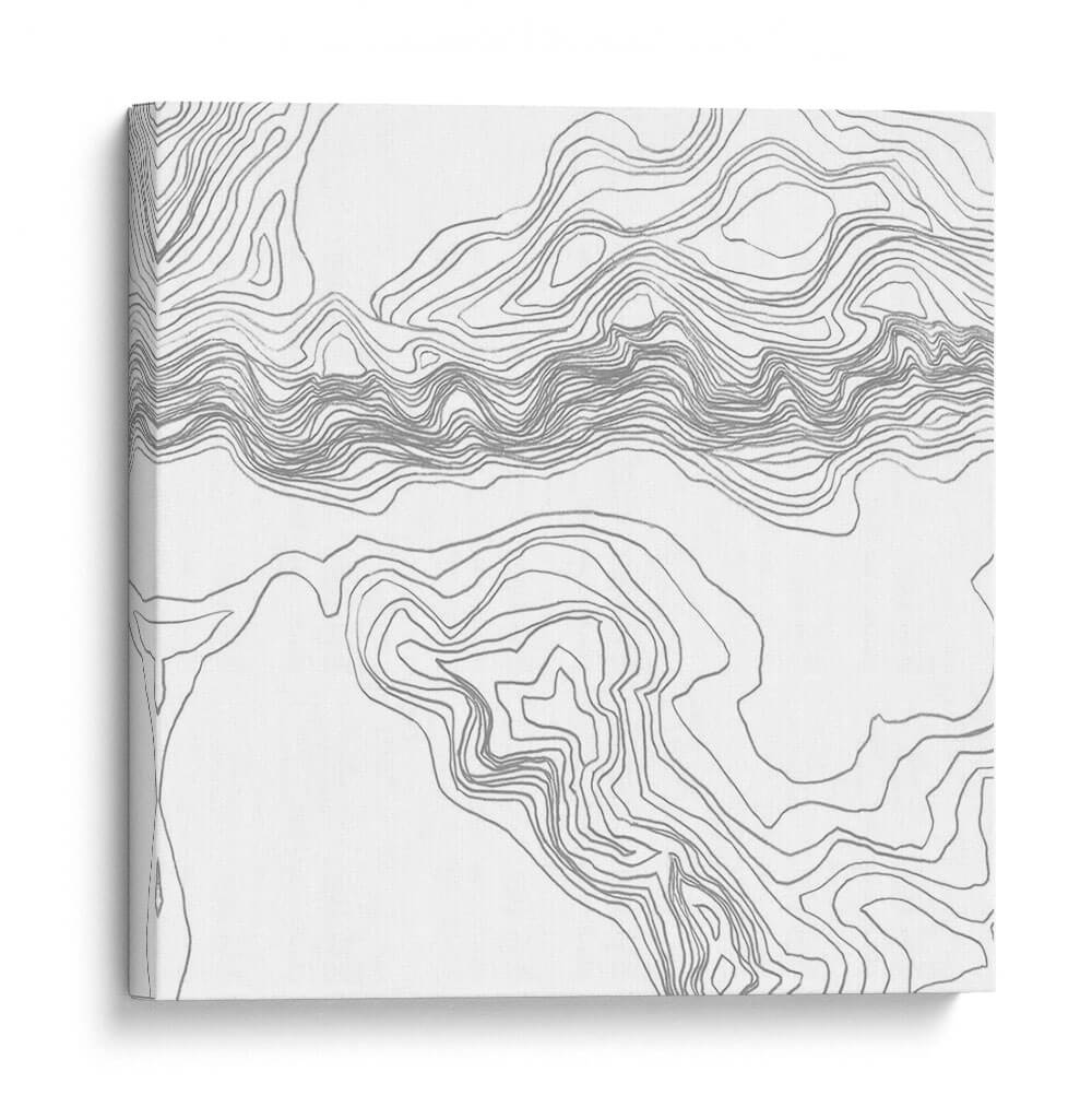 Topografía Contorno Ii - June Erica Vess | Cuadro decorativo de Canvas Lab
