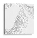 Topografía Contour Iii - June Erica Vess | Cuadro decorativo de Canvas Lab