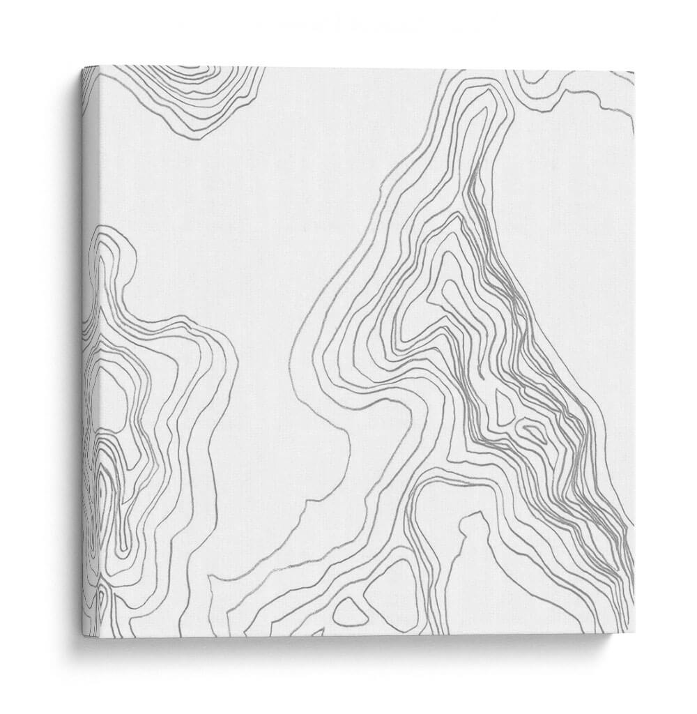 Topografía Contorno Iv - June Erica Vess | Cuadro decorativo de Canvas Lab