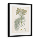 Azafrán Botanicals Iii | Cuadro decorativo de Canvas Lab