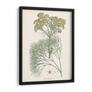 Azafrán Botanicals Iii | Cuadro decorativo de Canvas Lab