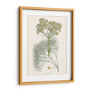 Azafrán Botanicals Iii | Cuadro decorativo de Canvas Lab