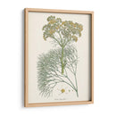 Azafrán Botanicals Iii | Cuadro decorativo de Canvas Lab