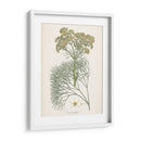 Azafrán Botanicals Iii | Cuadro decorativo de Canvas Lab