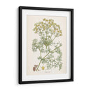 Saffron Botanicals Iv | Cuadro decorativo de Canvas Lab