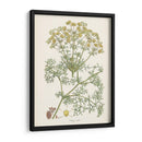 Saffron Botanicals Iv | Cuadro decorativo de Canvas Lab