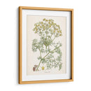 Saffron Botanicals Iv | Cuadro decorativo de Canvas Lab