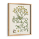 Saffron Botanicals Iv | Cuadro decorativo de Canvas Lab