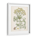 Saffron Botanicals Iv | Cuadro decorativo de Canvas Lab