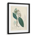 Verdor Vintage I | Cuadro decorativo de Canvas Lab