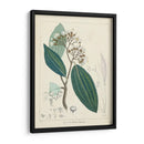 Verdor Vintage I | Cuadro decorativo de Canvas Lab