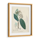 Verdor Vintage I | Cuadro decorativo de Canvas Lab