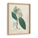 Verdor Vintage I | Cuadro decorativo de Canvas Lab