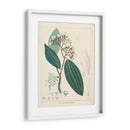 Verdor Vintage I | Cuadro decorativo de Canvas Lab