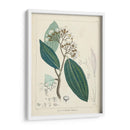 Verdor Vintage I | Cuadro decorativo de Canvas Lab