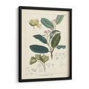 Vintage Verdure Ii | Cuadro decorativo de Canvas Lab