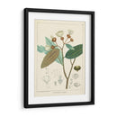 Vintage Verdure Iii | Cuadro decorativo de Canvas Lab