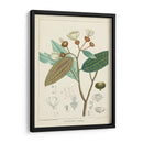 Vintage Verdure Iii | Cuadro decorativo de Canvas Lab